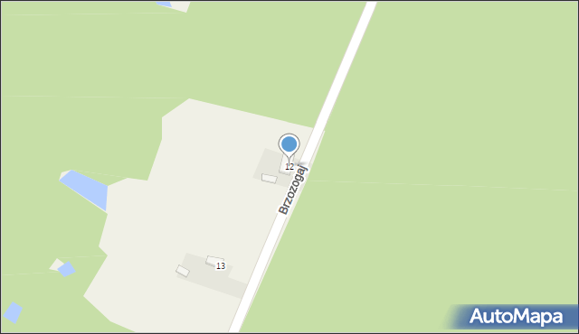 Brzozogaj, Brzozogaj, 12, mapa Brzozogaj