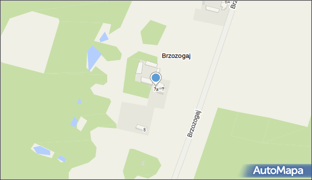 Brzozogaj, Brzozogaj, 7a, mapa Brzozogaj