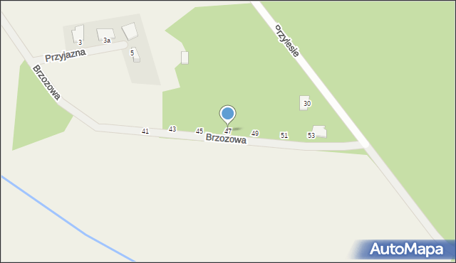 Chrząstawa Wielka, Brzozowa, 47, mapa Chrząstawa Wielka