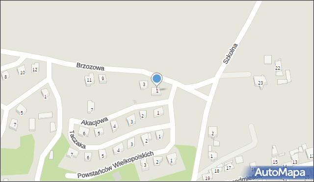 Dolsk, Brzozowa, 1, mapa Dolsk