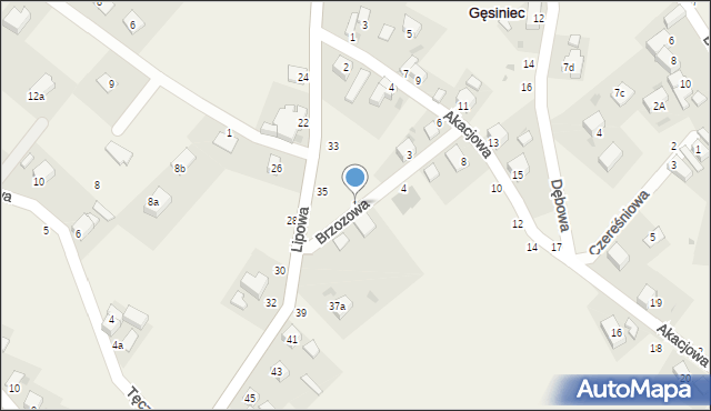 Gęsiniec, Brzozowa, 1, mapa Gęsiniec