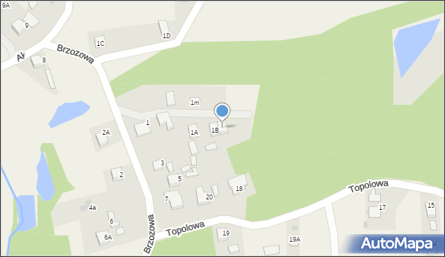 Jankowice, Brzozowa, 1N, mapa Jankowice