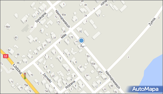 Kalisz, Braci Niemojowskich, 77a, mapa Kalisza