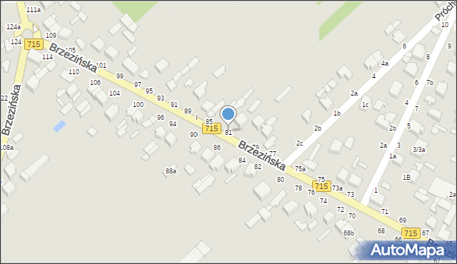 Koluszki, Brzezińska, 81, mapa Koluszki
