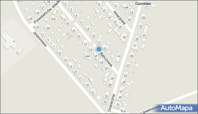 Kościan, Brzozowa, 16a, mapa Kościan