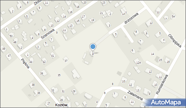 Kozłów Biskupi, Brzozowa, 4, mapa Kozłów Biskupi