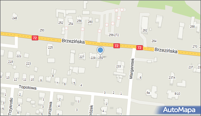 Łódź, Brzezińska, 231, mapa Łodzi