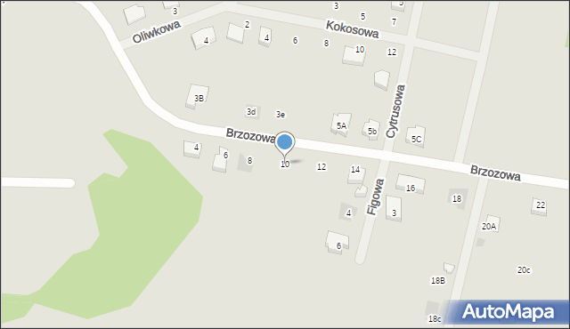 Nasielsk, Brzozowa, 10, mapa Nasielsk