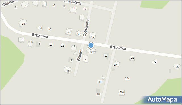 Nasielsk, Brzozowa, 16, mapa Nasielsk