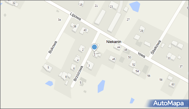Niekanin, Brzozowa, 1, mapa Niekanin