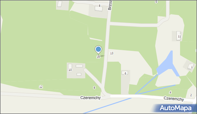 Petrykozy, Brzozowa, 10, mapa Petrykozy