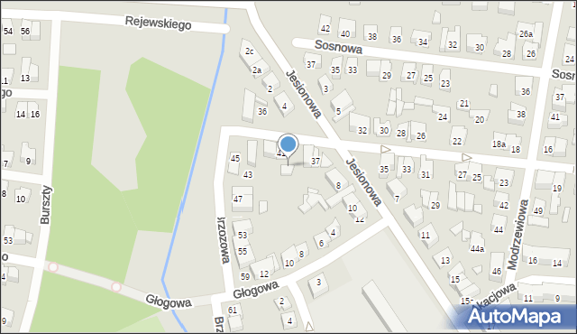 Poznań, Brzozowa, 41b, mapa Poznania