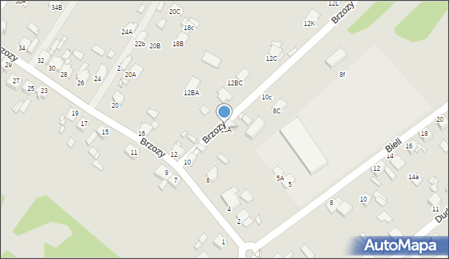 Rybnik, Brzozy Teofila, 10A, mapa Rybnika