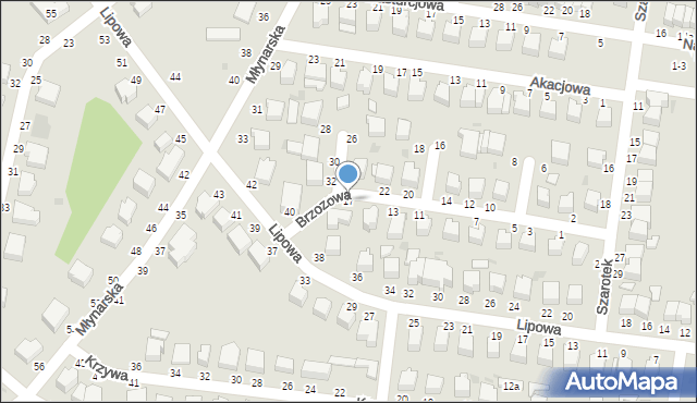 Skierniewice, Brzozowa, 17, mapa Skierniewic