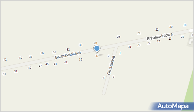 Suszno, Brzoskwiniowa, 37, mapa Suszno