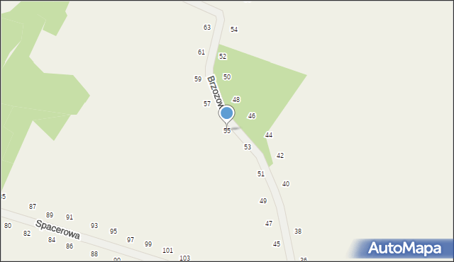 Tomaszowice, Brzozowa, 55, mapa Tomaszowice