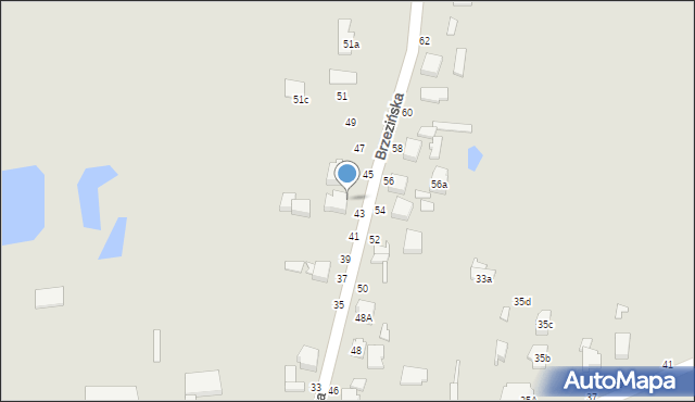 Tuszyn, Brzezińska, 43a, mapa Tuszyn