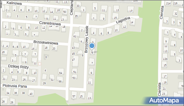 Warszawa, Brzozowy Lasek, 5, mapa Warszawy