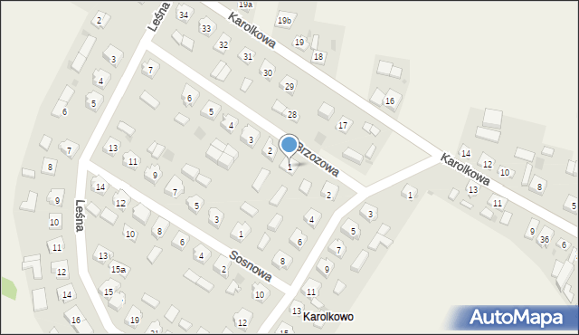 Wilczyn, Brzozowa, 1, mapa Wilczyn