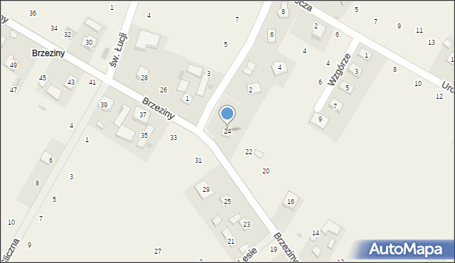 Wilków, Brzeziny, 24, mapa Wilków