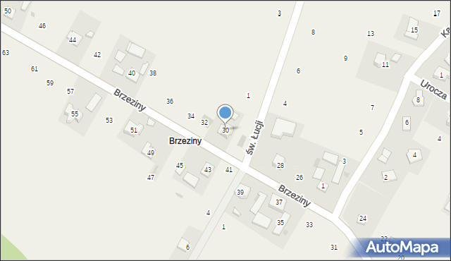 Wilków, Brzeziny, 30, mapa Wilków