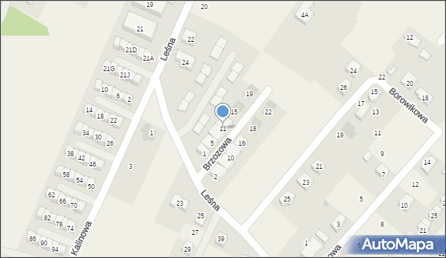 Wilkszyn, Brzozowa, 11, mapa Wilkszyn