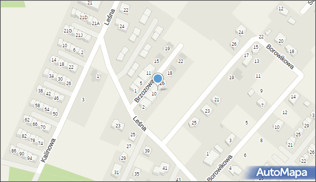 Wilkszyn, Brzozowa, 12, mapa Wilkszyn