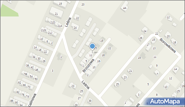 Wilkszyn, Brzozowa, 13, mapa Wilkszyn