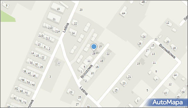 Wilkszyn, Brzozowa, 15, mapa Wilkszyn