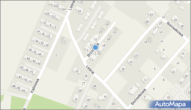 Wilkszyn, Brzozowa, 6, mapa Wilkszyn