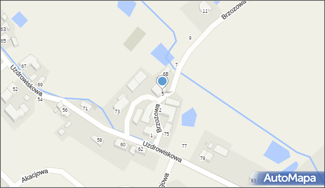 Wojcieszyce, Brzozowa, 5, mapa Wojcieszyce