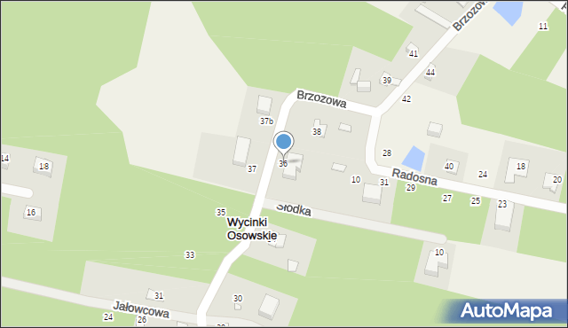 Wycinki Osowskie, Brzozowa, 36, mapa Wycinki Osowskie