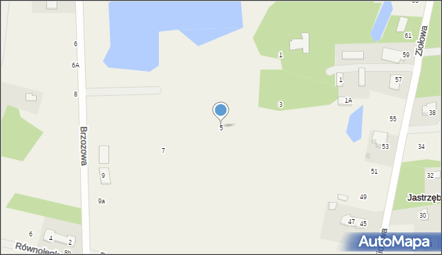 Żabia Wola, Brzozowa, 5, mapa Żabia Wola