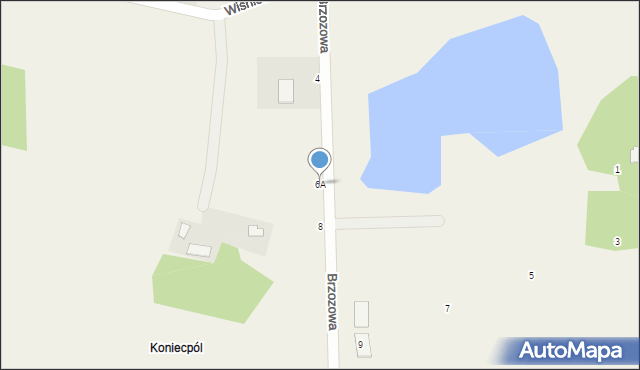 Żabia Wola, Brzozowa, 6A, mapa Żabia Wola