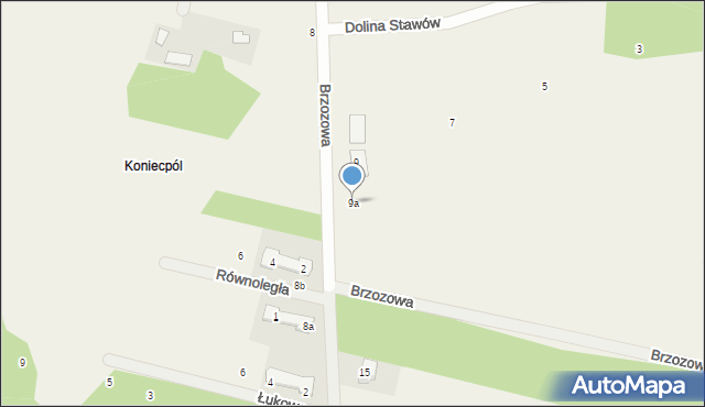 Żabia Wola, Brzozowa, 9a, mapa Żabia Wola