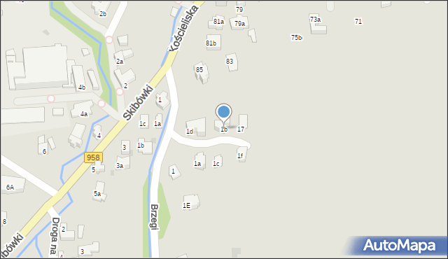 Zakopane, Brzegi Wojciecha, 1b, mapa Zakopanego