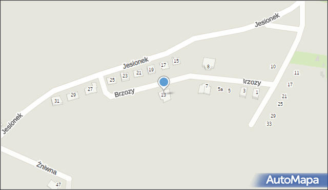 Żory, Brzozy Karola, ks., 13, mapa Żor