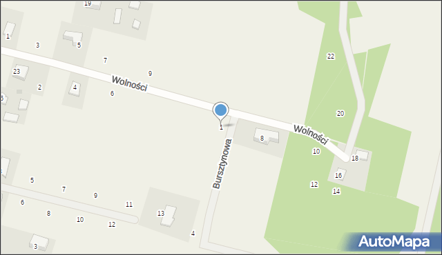 Bieszkowice, Bursztynowa, 1, mapa Bieszkowice