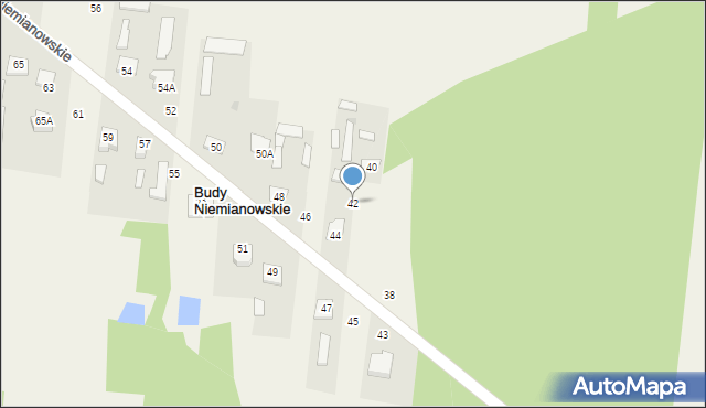 Budy Niemianowskie, Budy Niemianowskie, 42, mapa Budy Niemianowskie