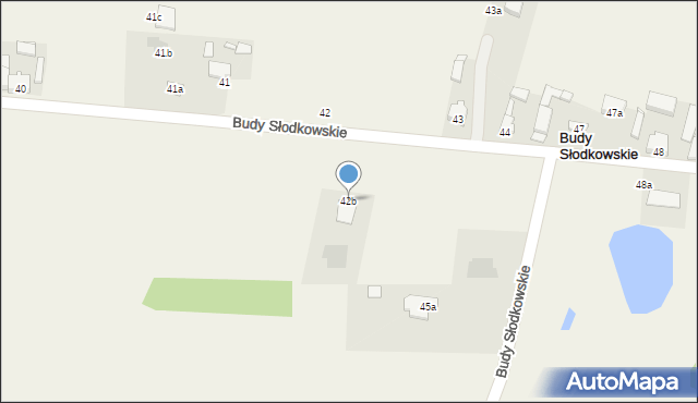 Budy Słodkowskie, Budy Słodkowskie, 42b, mapa Budy Słodkowskie