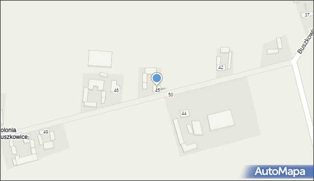 Buszkowice, Buszkowice, 45, mapa Buszkowice