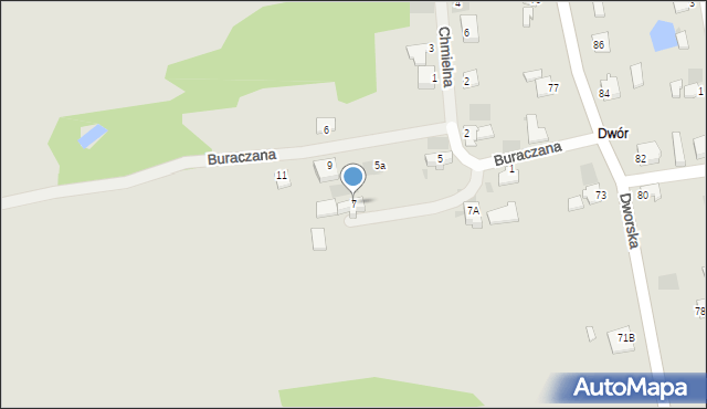 Myszków, Buraczana, 7, mapa Myszków