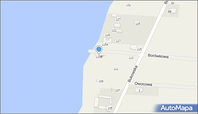 Sapowice, Bukowska, 113B, mapa Sapowice
