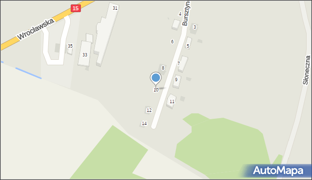 Zduny, Bursztynowa, 10, mapa Zduny