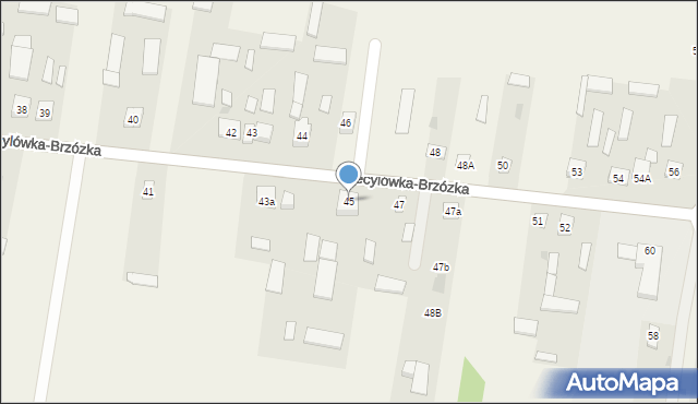 Cecylówka-Brzózka, Cecylówka-Brzózka, 45, mapa Cecylówka-Brzózka