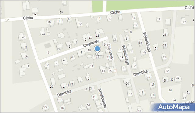 Leźno, Ceynowy, 12, mapa Leźno