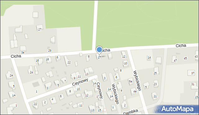 Leźno, Ceynowy, 17, mapa Leźno