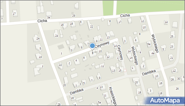 Leźno, Ceynowy, 8, mapa Leźno