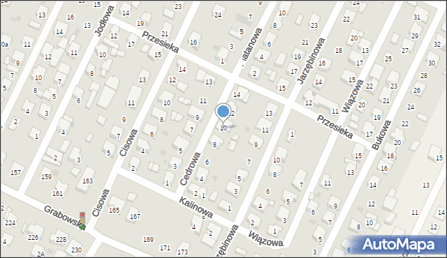 Ostrów Wielkopolski, Cedrowa, 10, mapa Ostrów Wielkopolski