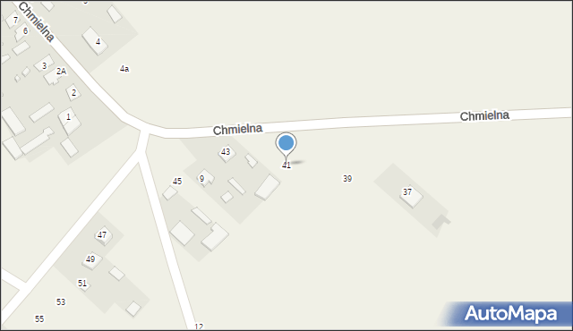 Borki, Chmielna, 41, mapa Borki